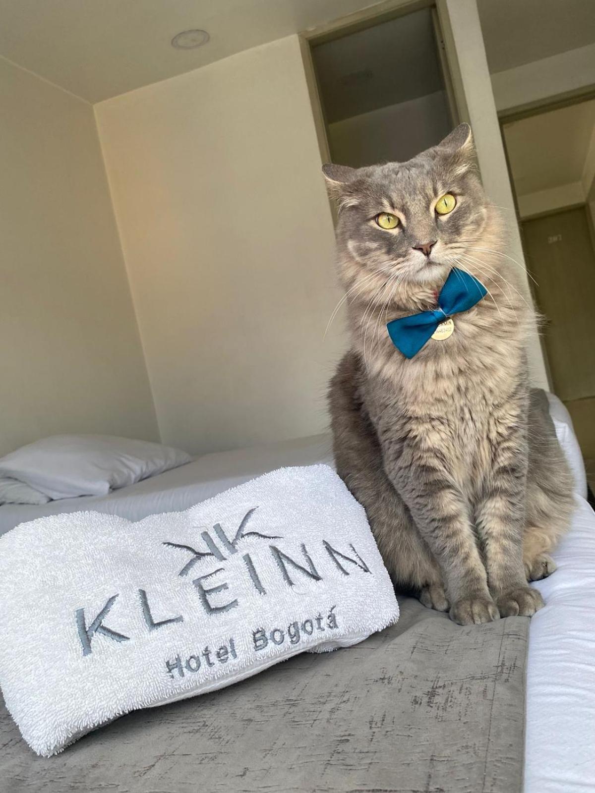 Kleinn Hotel Bogotá Extérieur photo